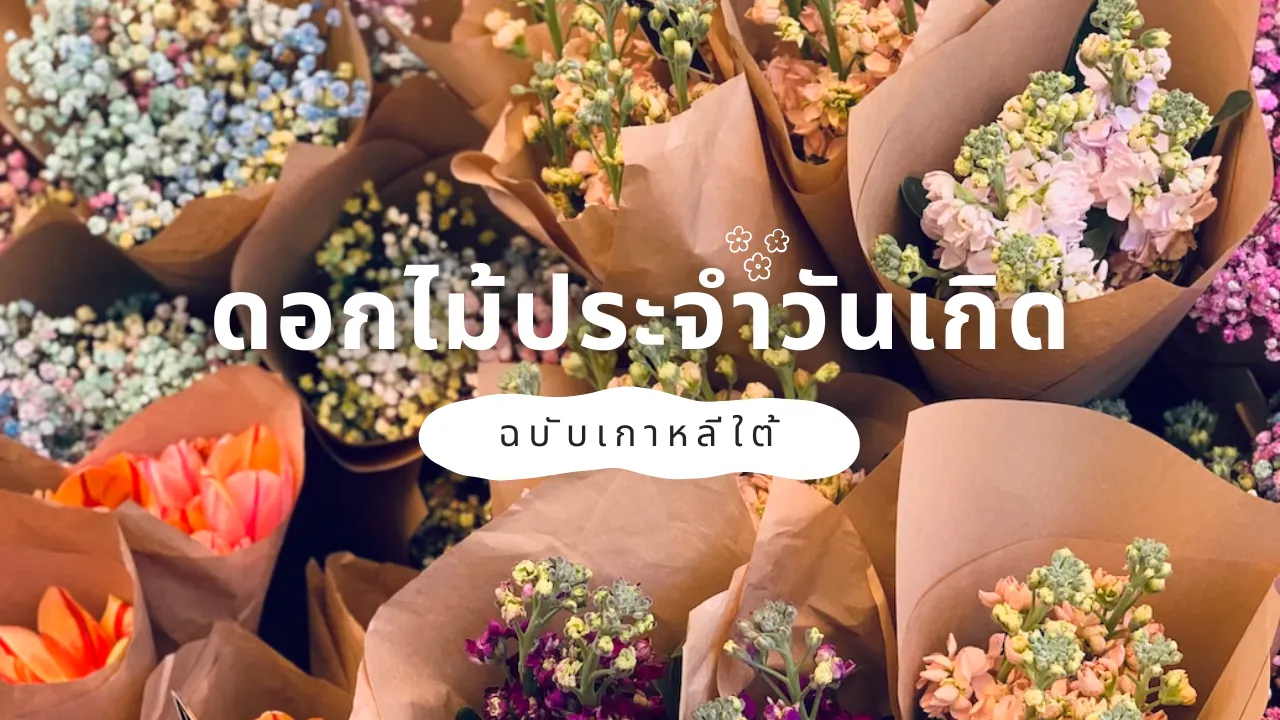 มาเช็คดอกไม้ประจำวันเกิดฉบับเกาหลี พร้อมความหมายครบ 366 วัน