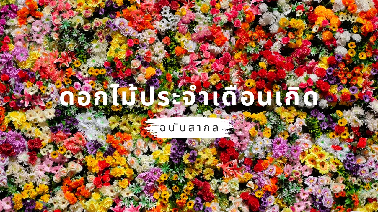 มาเช็คดอกไม้ประจำเดือนเกิดฉบับสากล พร้อมความหมาย