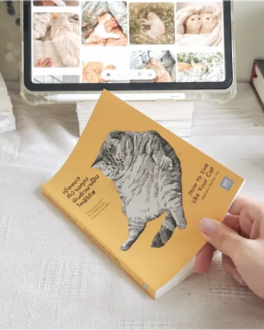 หนังสือเมื่อแมวบ้านคุณผันตัวมาเป็นไลฟ์โค้ช (How to Live Like Your Cat)