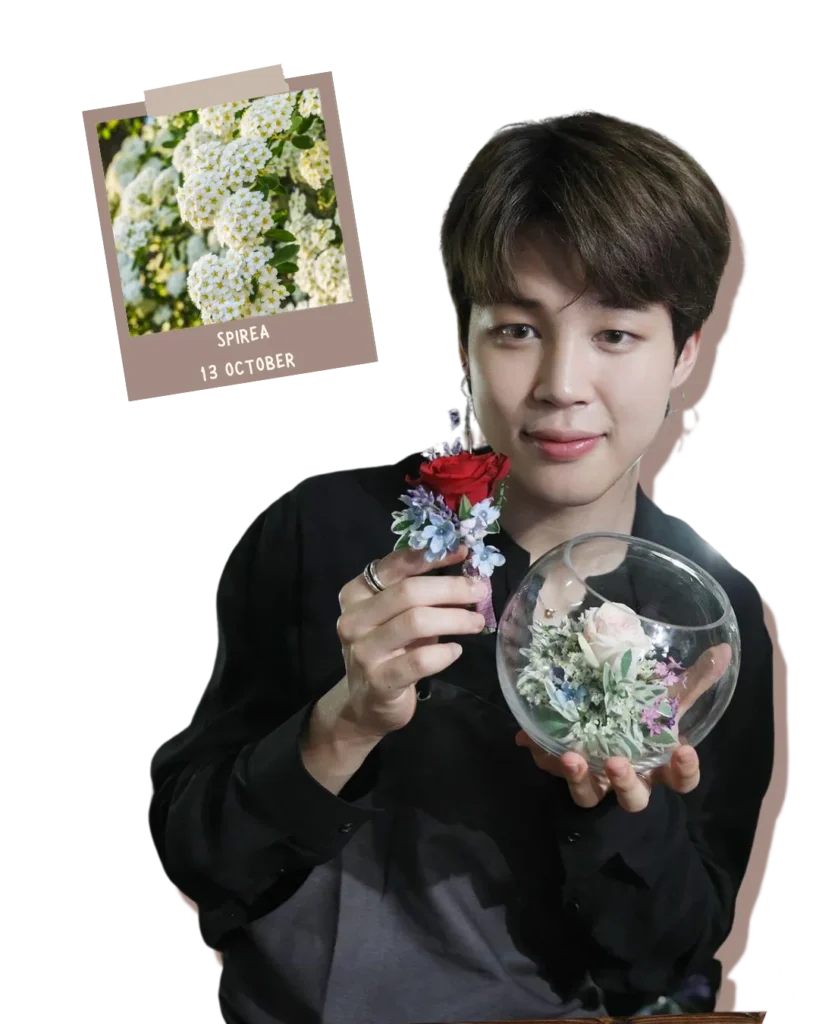 ดอกไม้ประจำวันเกิด BTS - จีมิน (Jimin)